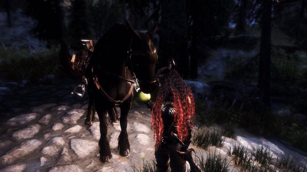 SkyrimSE 2021-03-06 06-21-14-71.jpg