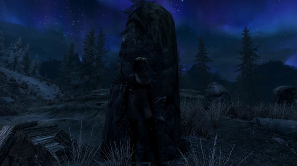 TESV 2021-05-02 19-32-24-35.jpg