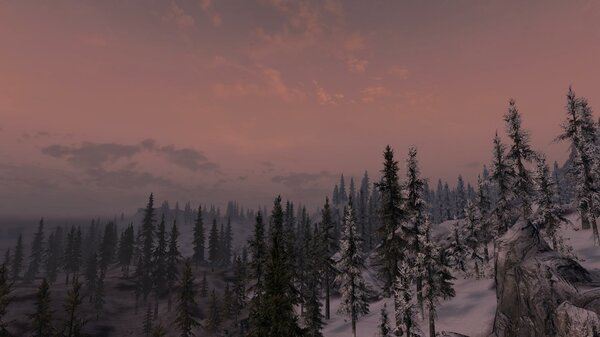 TESV 2021-06-06 15-38-05-12.jpg