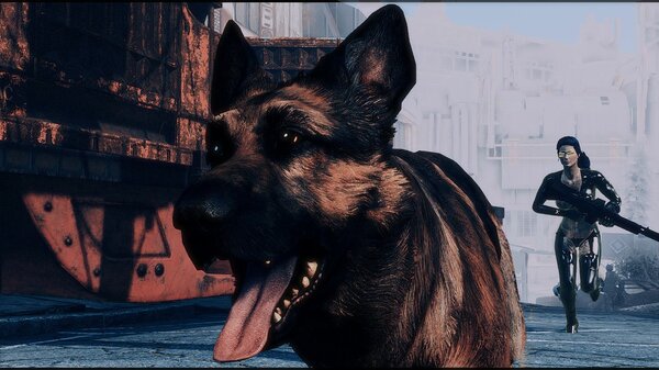 Псинка )) Fallout-4 (Сборка 6.5)