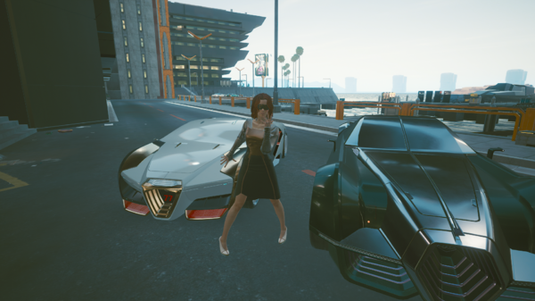 Ви позирует на фоне своей и угнанной машин.