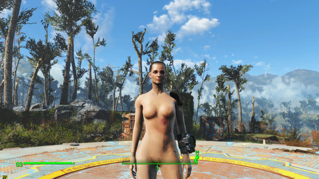 Fallout 4_2021.07.11-18.25_2.png