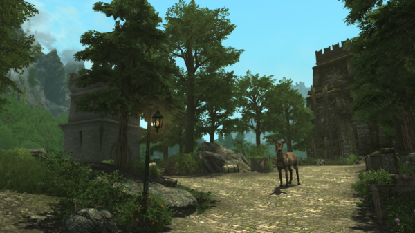 Ослик в центре внимания.