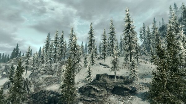 TESV 2021-07-24 19-01-54-96.jpg