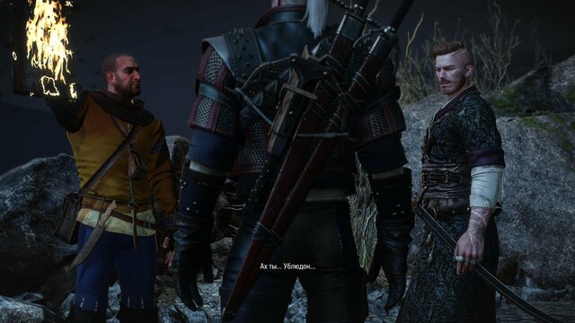 witcher3 2021-08-23 21-46-39-90.jpg