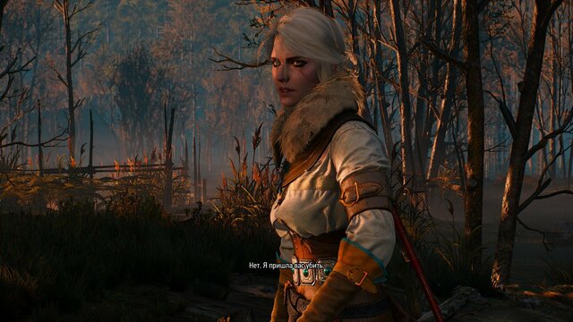 witcher3 2021-08-23 22-43-34-03.jpg