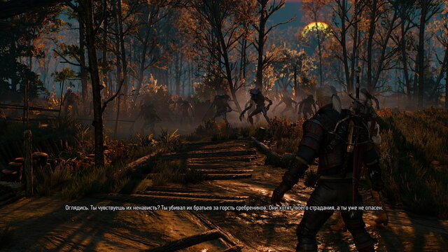 witcher3 2021-08-23 22-43-07-09.jpg