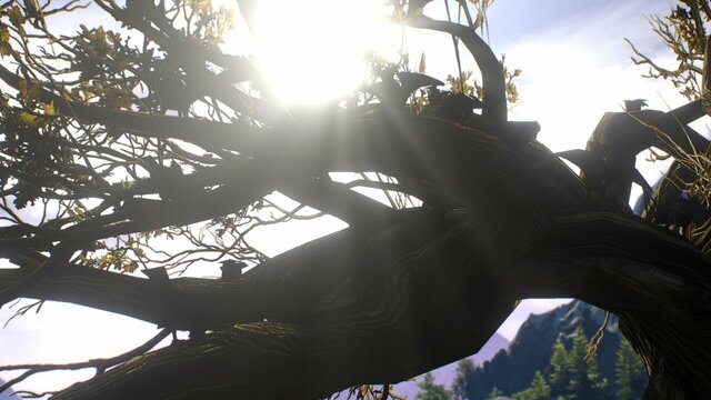 witcher3 2021-08-17 22-34-17-78.jpg