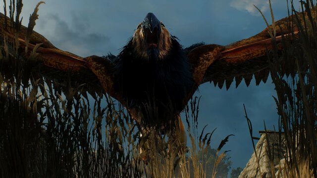 witcher3 2021-08-07 21-35-57-13.jpg