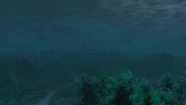 witcher3 2021-08-07 21-50-51-02.jpg