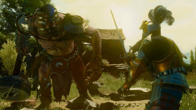 witcher3 2021-08-24 20-12-19-58.jpg