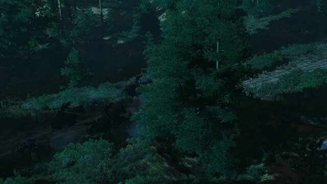 witcher3 2021-08-07 21-50-25-88.jpg