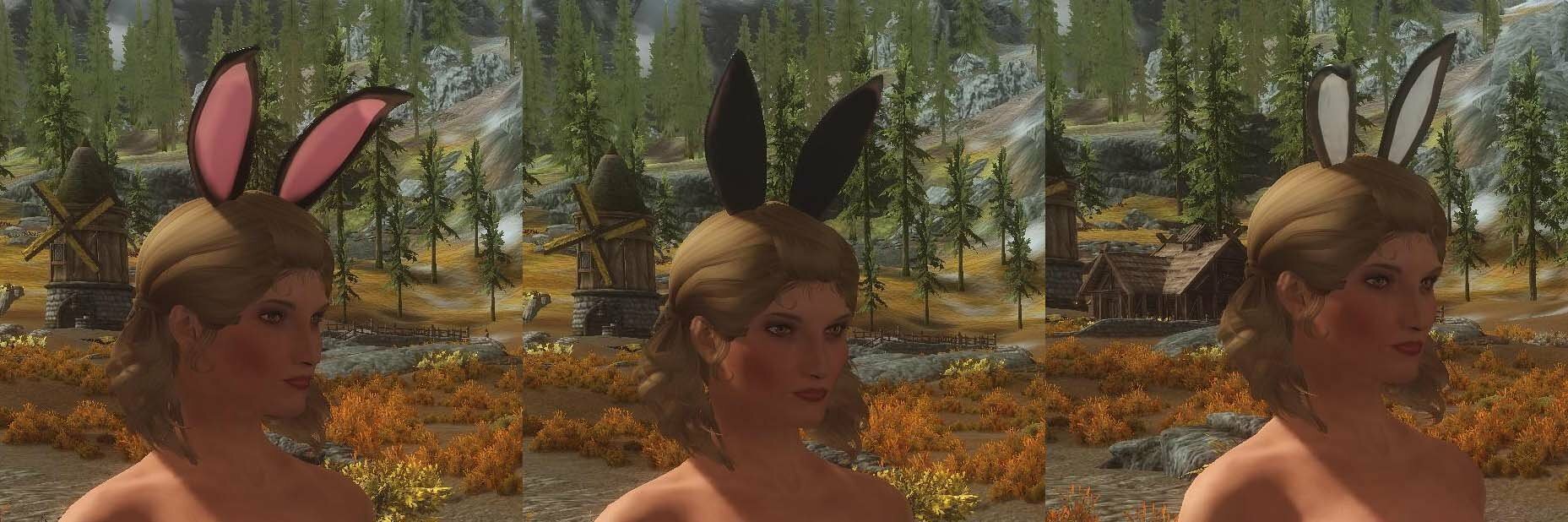 Nadriel's Bunny Girl Outfit Latex edition - CBBE - UUNP Rus