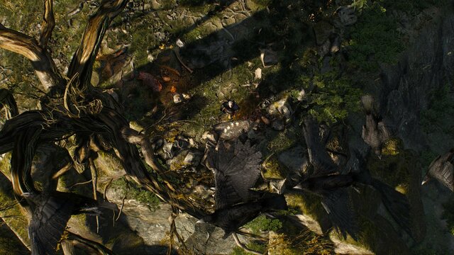 witcher3 2021-08-17 22-34-24-04.jpg