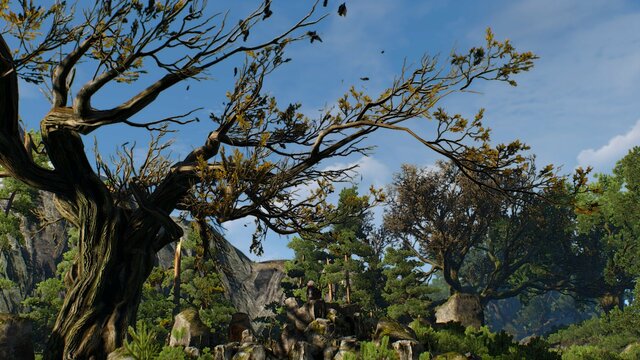 witcher3 2021-08-17 22-34-22-84.jpg