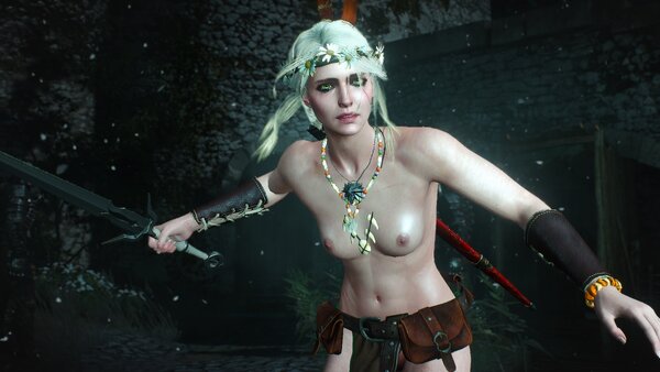 witcher3 2021-08-21 23-55-16-15.jpg