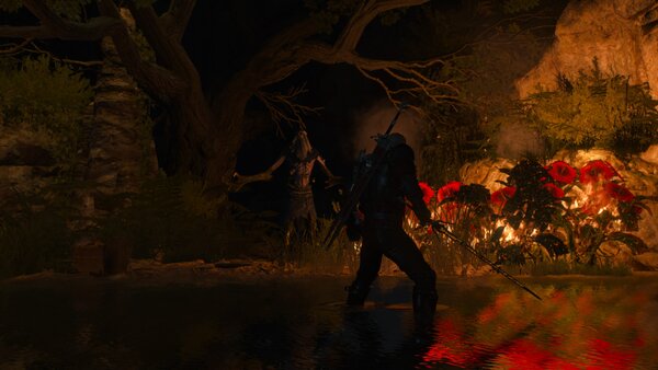 witcher3 2021-08-27 21-17-43-14.jpg