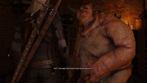 witcher3 Типичная депутатская рожа