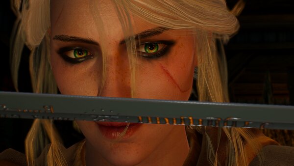 witcher3 Момент все скринили)