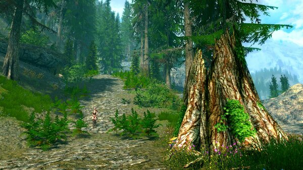 Дорога.. SkyrimSE (сборка 6.0)
