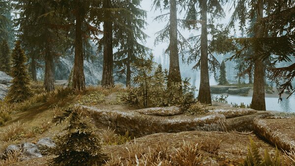Пейзаж.. SkyrimSE (сборка 6.0)