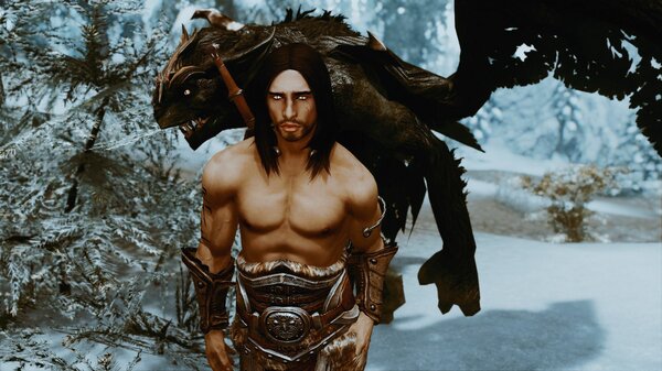 Эйран встретил кровного брата.  SkyrimSE (сборка 6.0)