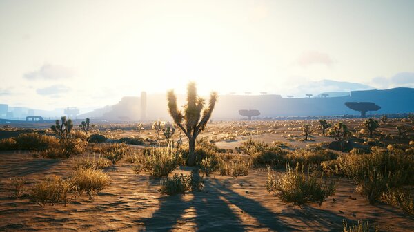 Пустошь.. Cyberpunk 2077