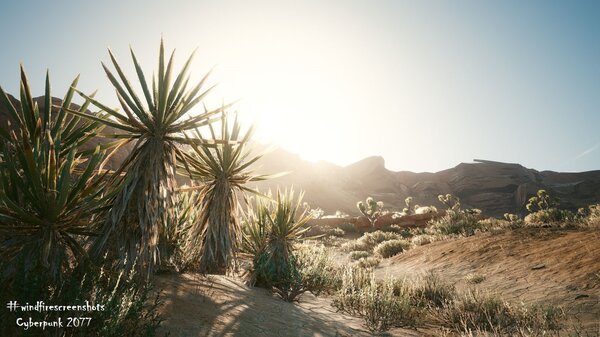 Пустоши.. Cyberpunk 2077