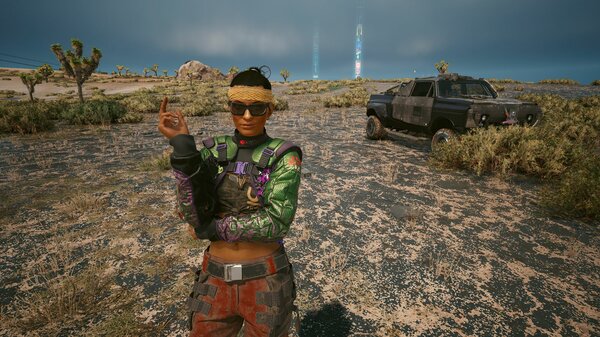 Сумерки в пустошах.. Cyberpunk 2077