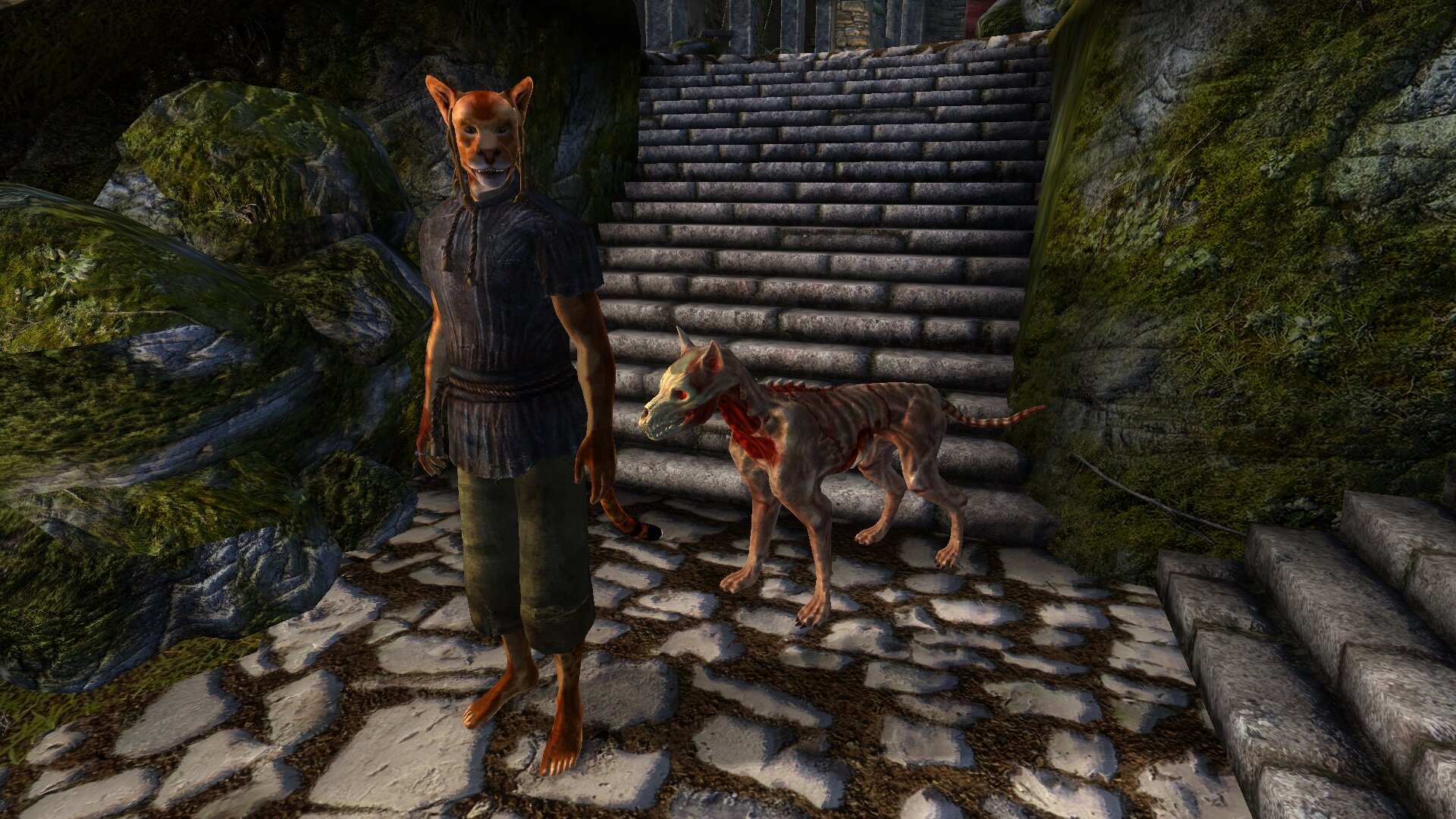 A Dog for Bhisha Rus