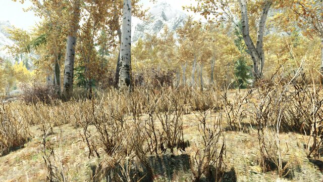 TESV 2021-10-31 12-03-21-04.jpg