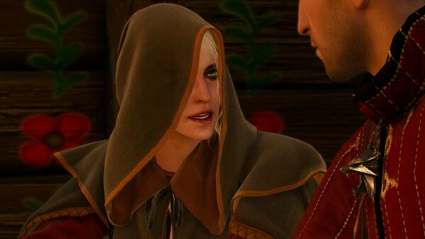 Тайная встреча.. Ведьмак III (сборка Торна)