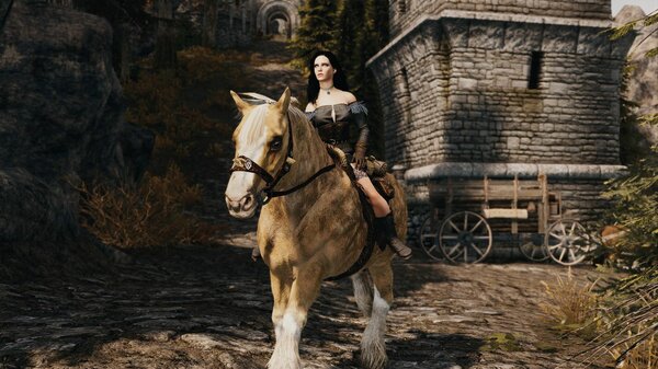 Йенн обзавелась выносливым жеребцом!