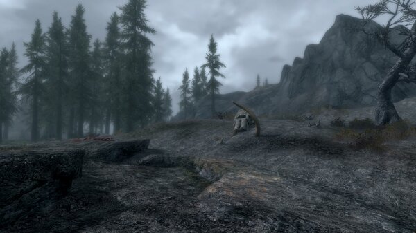 TESV 2021-11-13 15-08-26-37.jpg