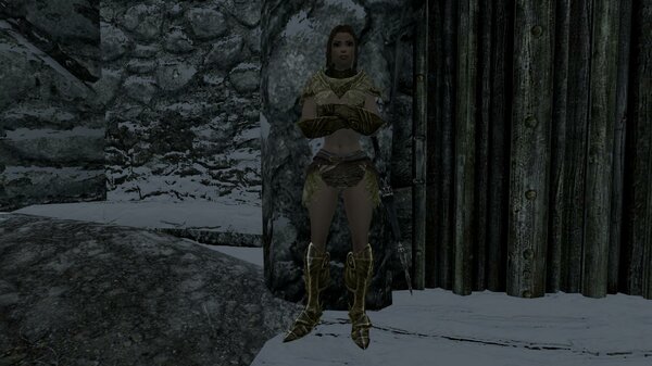 TESV 2021-11-14 19-23-30-48.jpg