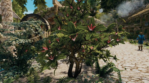 Вблизи Ривервуда.. Skyrim SE (Тропики 7.0)