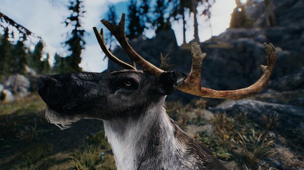 Ты - лось? Нет - я олень! )))