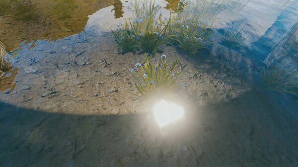 Солнце в воде.. Skyrim SE (Тропики 7.0)