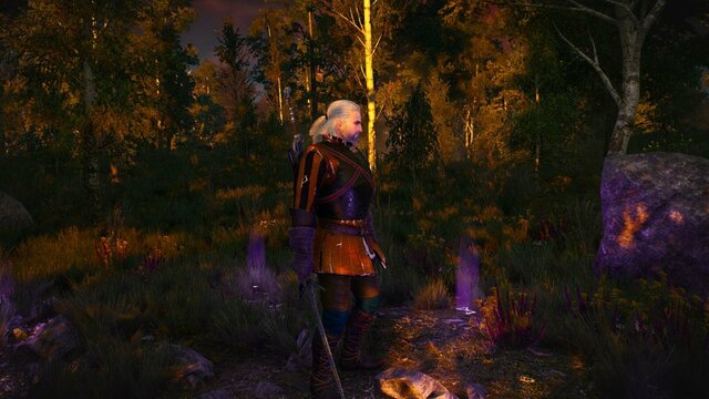 witcher3 2021-12-20 22-05-02-91.jpg