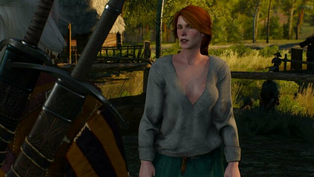 witcher3 2021-12-22 22-37-28-84.jpg