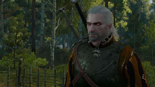 witcher3 2021-12-22 01-31-41-68.jpg