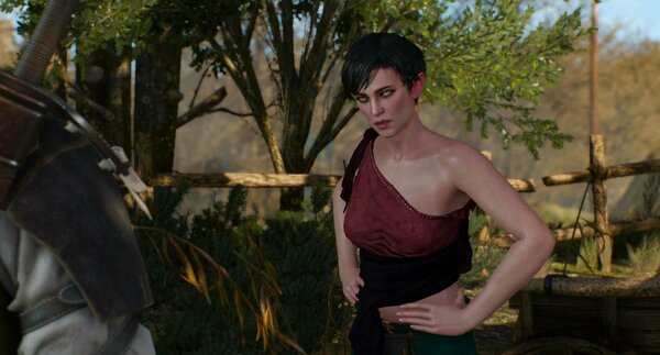 Геральт спас эльфийку от бандитов.. Ведьмак III