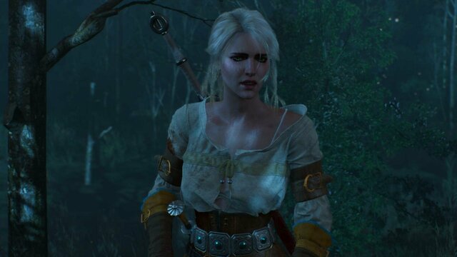 witcher3 2021-12-25 22-30-27-06.jpg