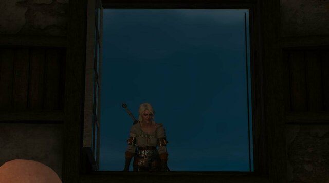 witcher3 2022-01-05 18-58-22-73.jpg