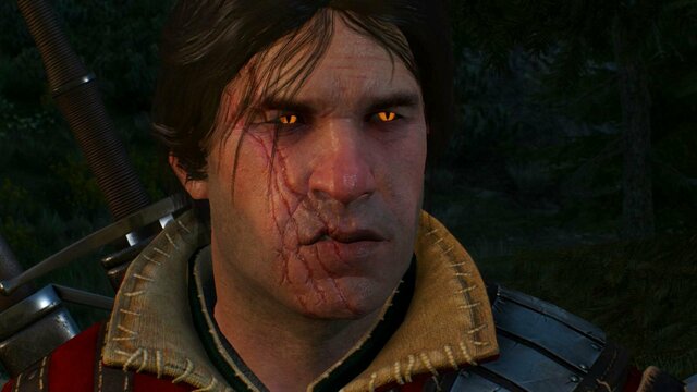 witcher3 2022-01-17 23-59-37-55.jpg