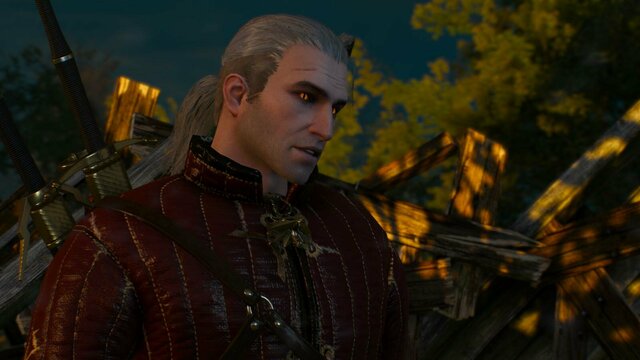 witcher3 2022-01-04 22-11-19-84.jpg