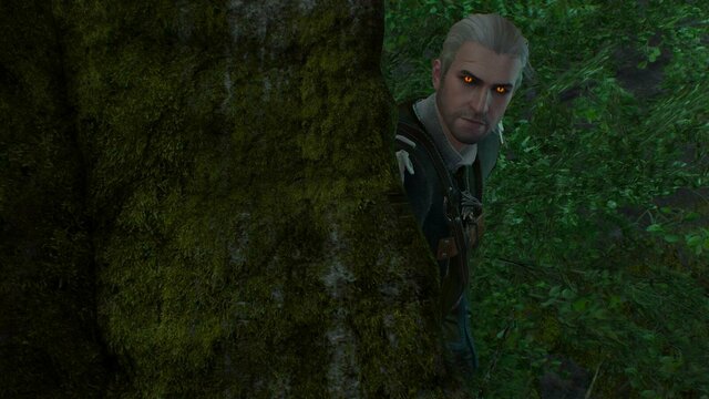 witcher3 2022-01-03 21-50-55-85.jpg