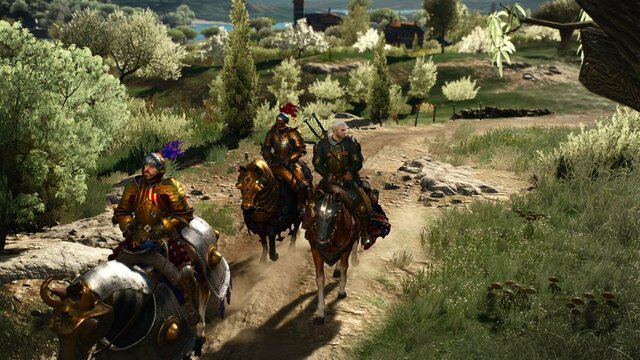 witcher3 2022-01-06 00-20-36-05.jpg