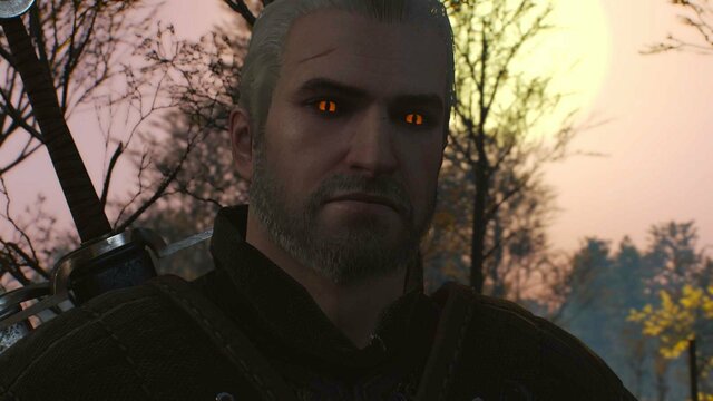 witcher3 2021-12-25 22-32-21-90.jpg