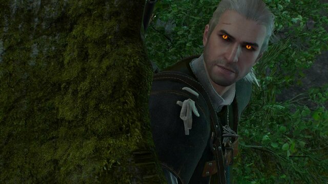 ! witcher3 2022-01-03 21-51-03-11.jpg